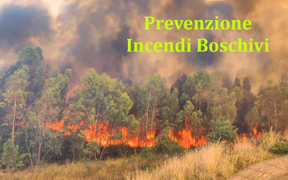 PREVENZIONE INCENDI BOSCHIVI