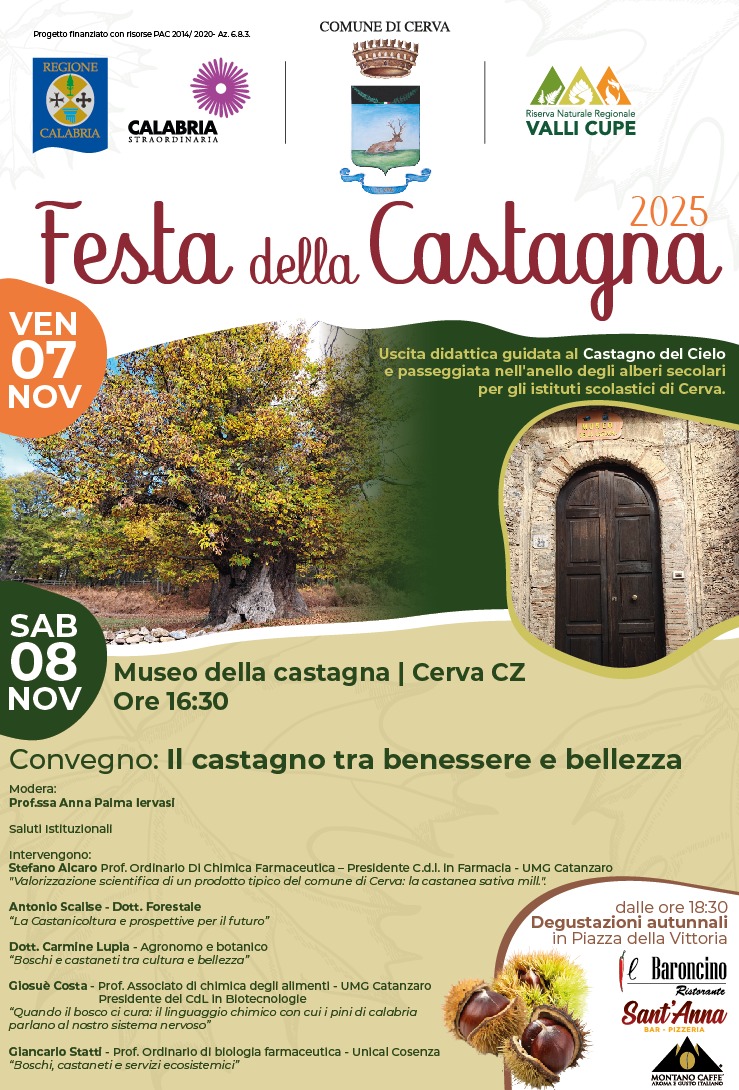 Festa della Castagna 2025